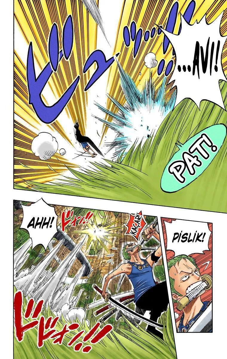 One Piece [Renkli] - Sayfa 7