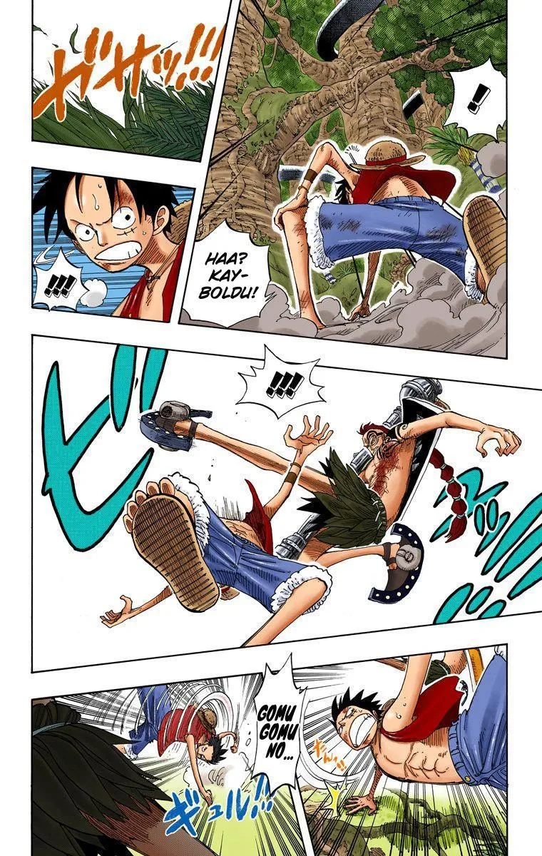 One Piece [Renkli] - Sayfa 12