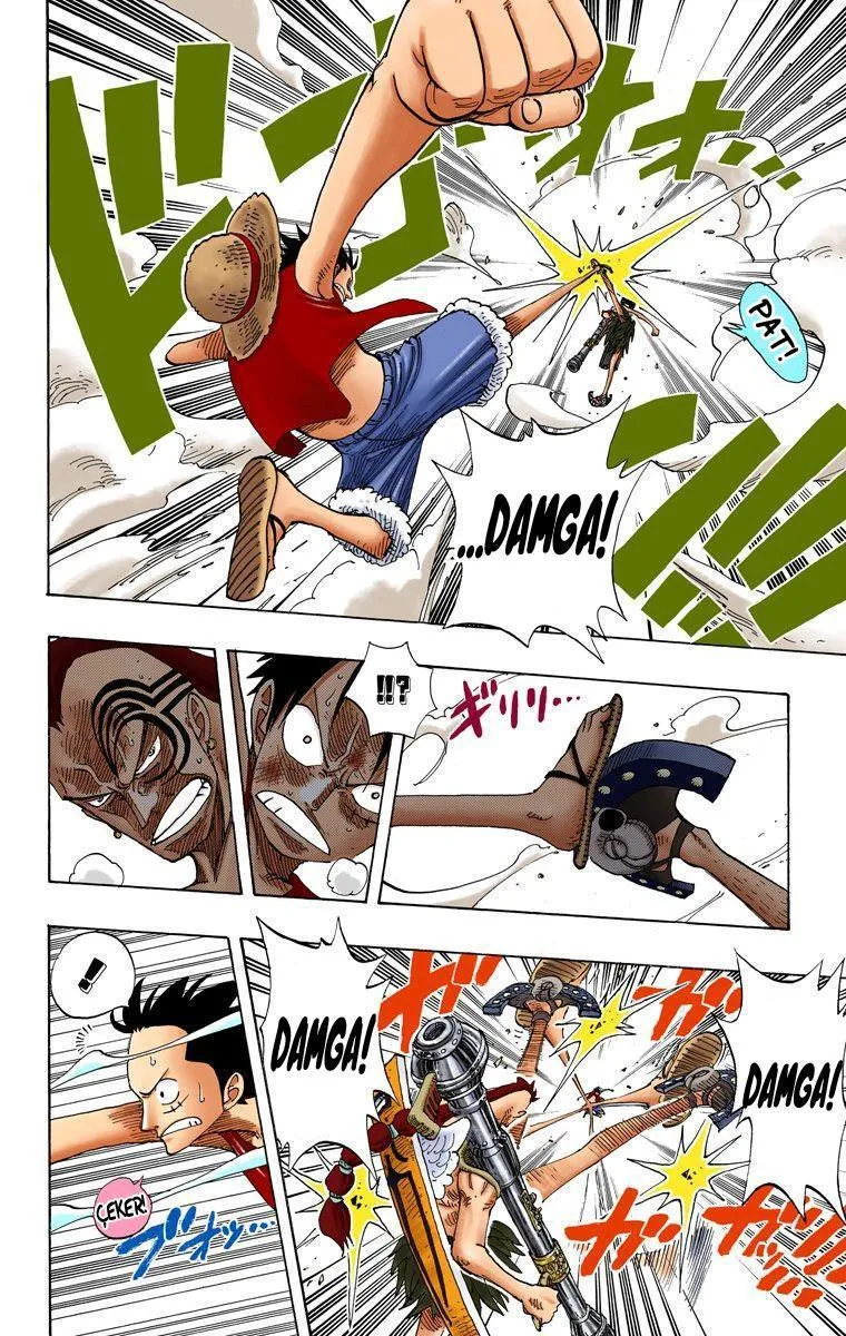 One Piece [Renkli] - Sayfa 14