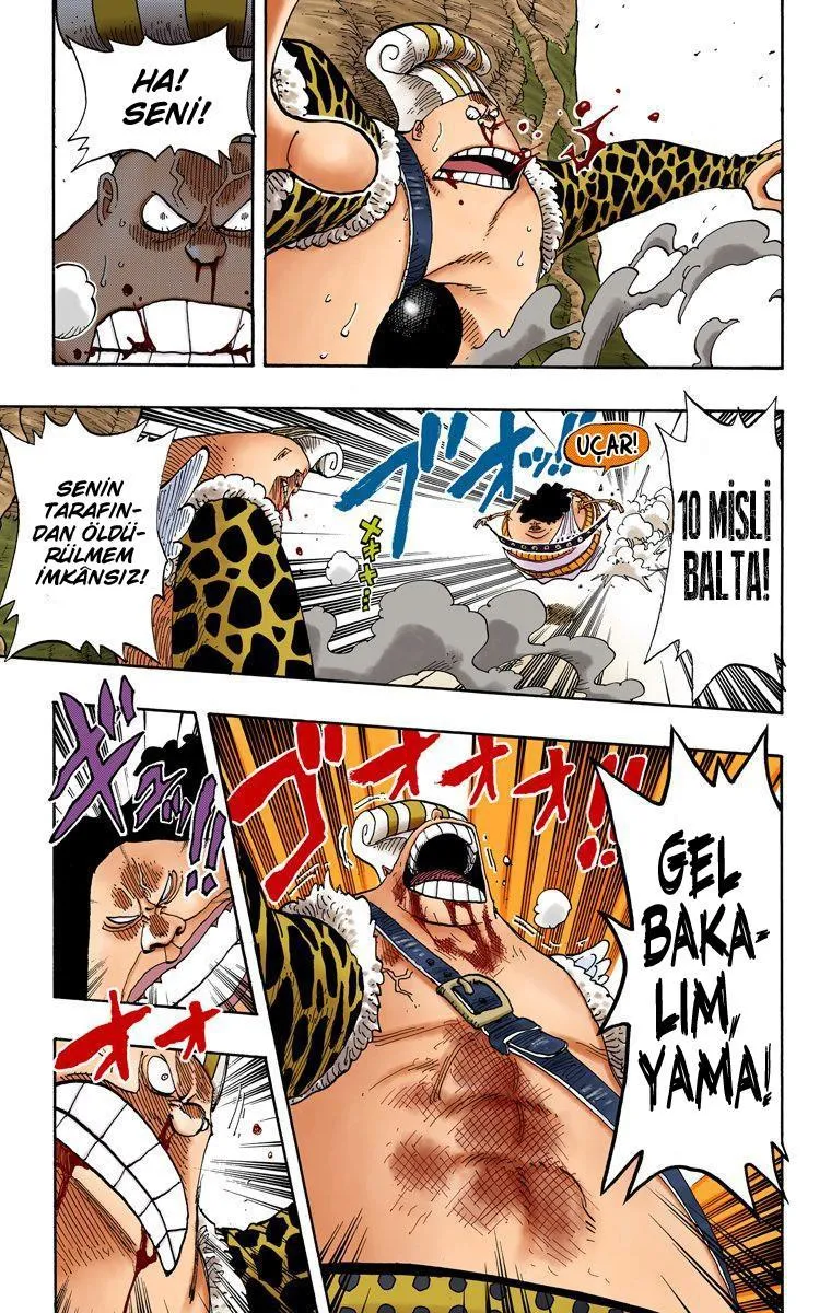 One Piece [Renkli] - Sayfa 10