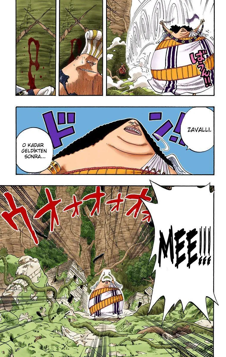 One Piece [Renkli] - Sayfa 12