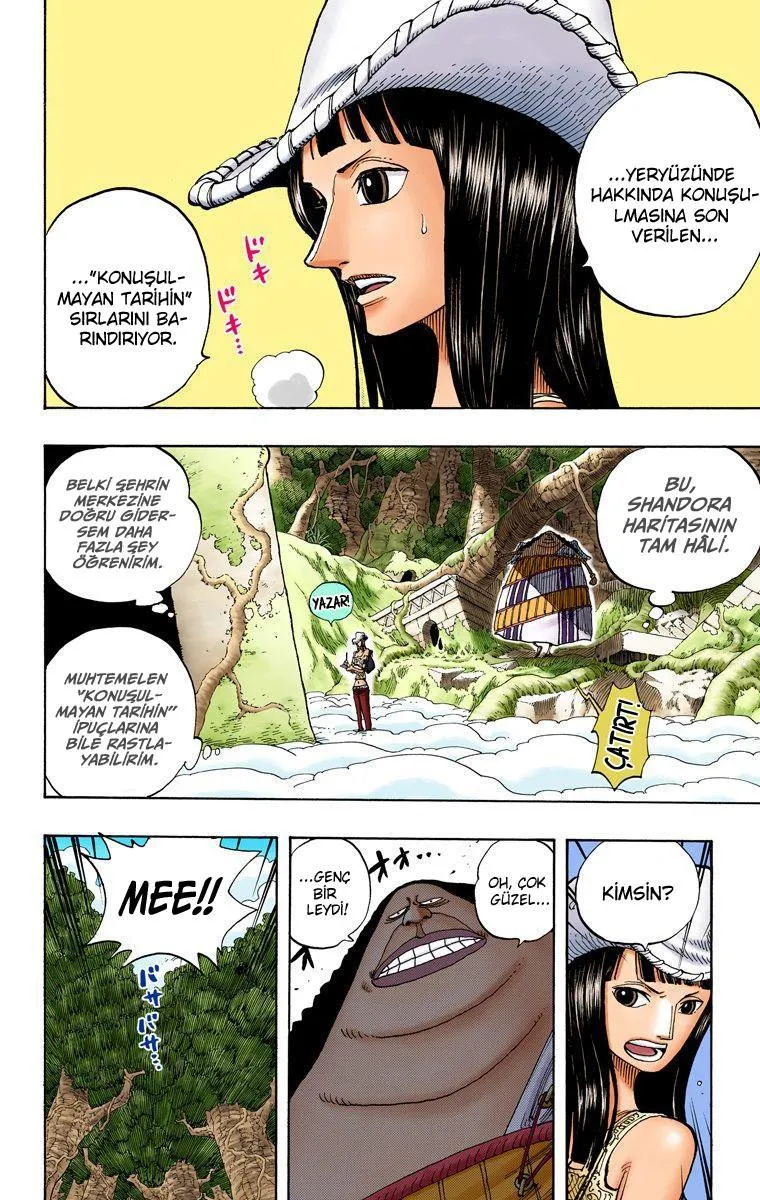 One Piece [Renkli] - Sayfa 15