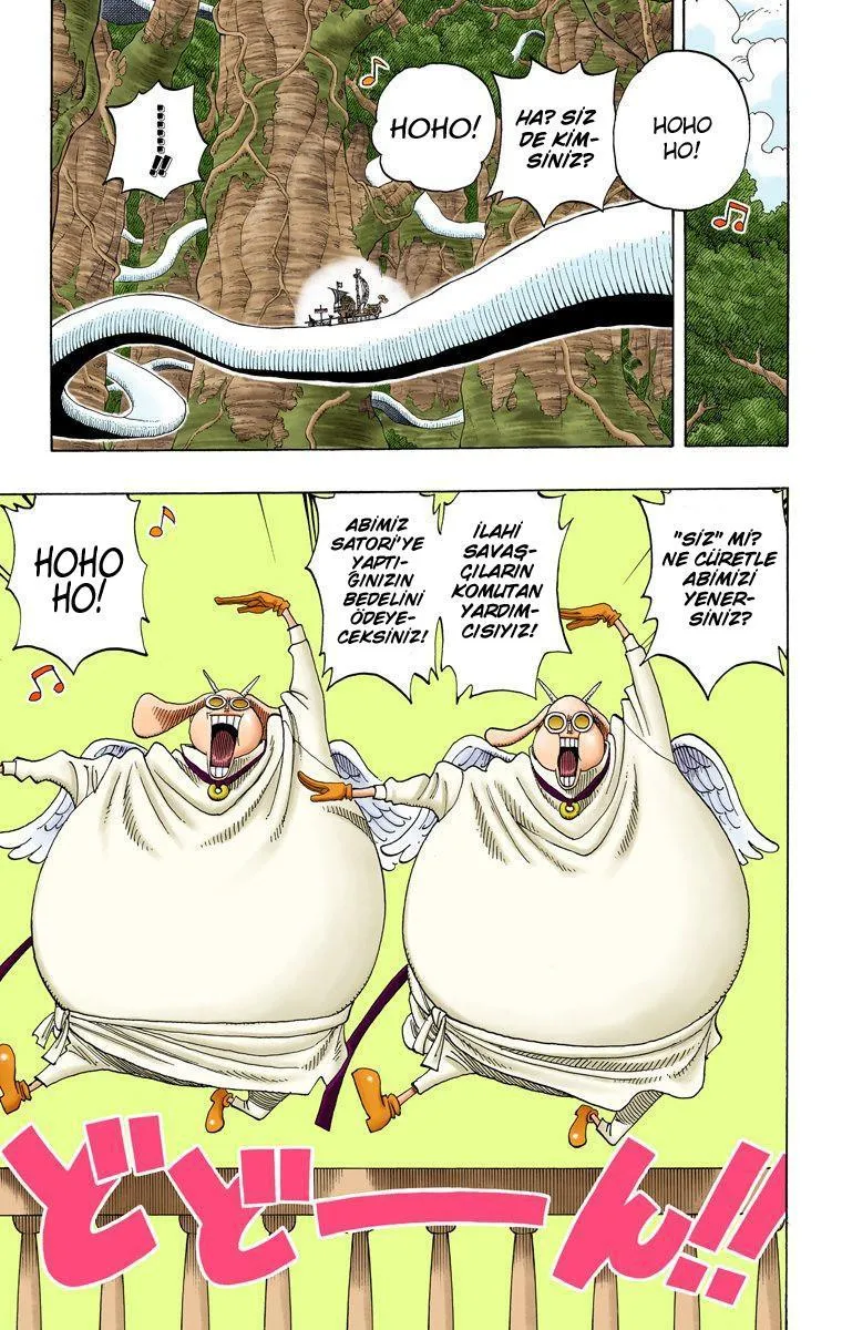 One Piece [Renkli] - Sayfa 16