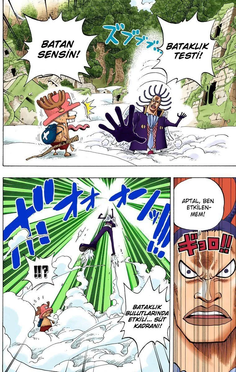 One Piece [Renkli] - Sayfa 5