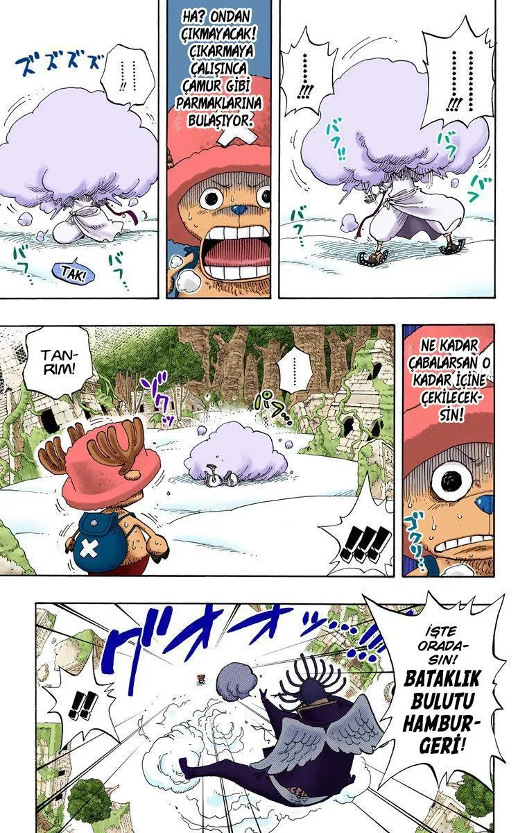 One Piece [Renkli] - Sayfa 8