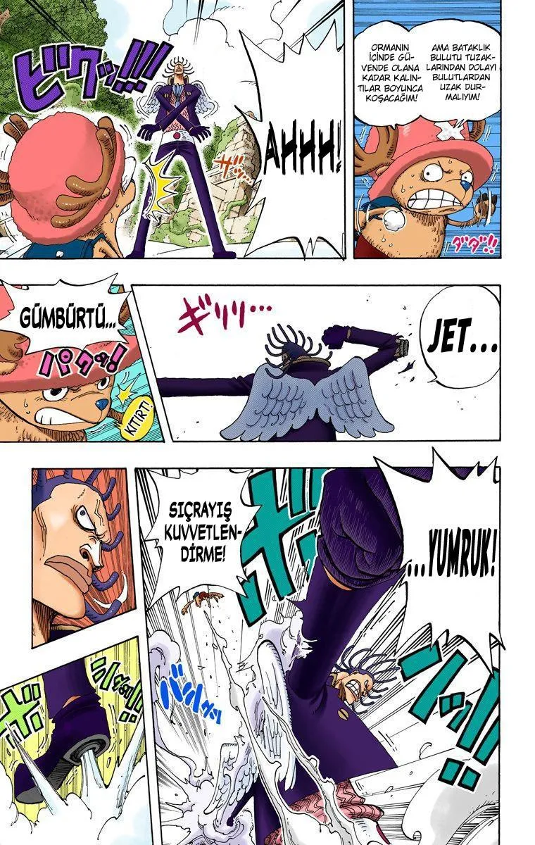 One Piece [Renkli] - Sayfa 12