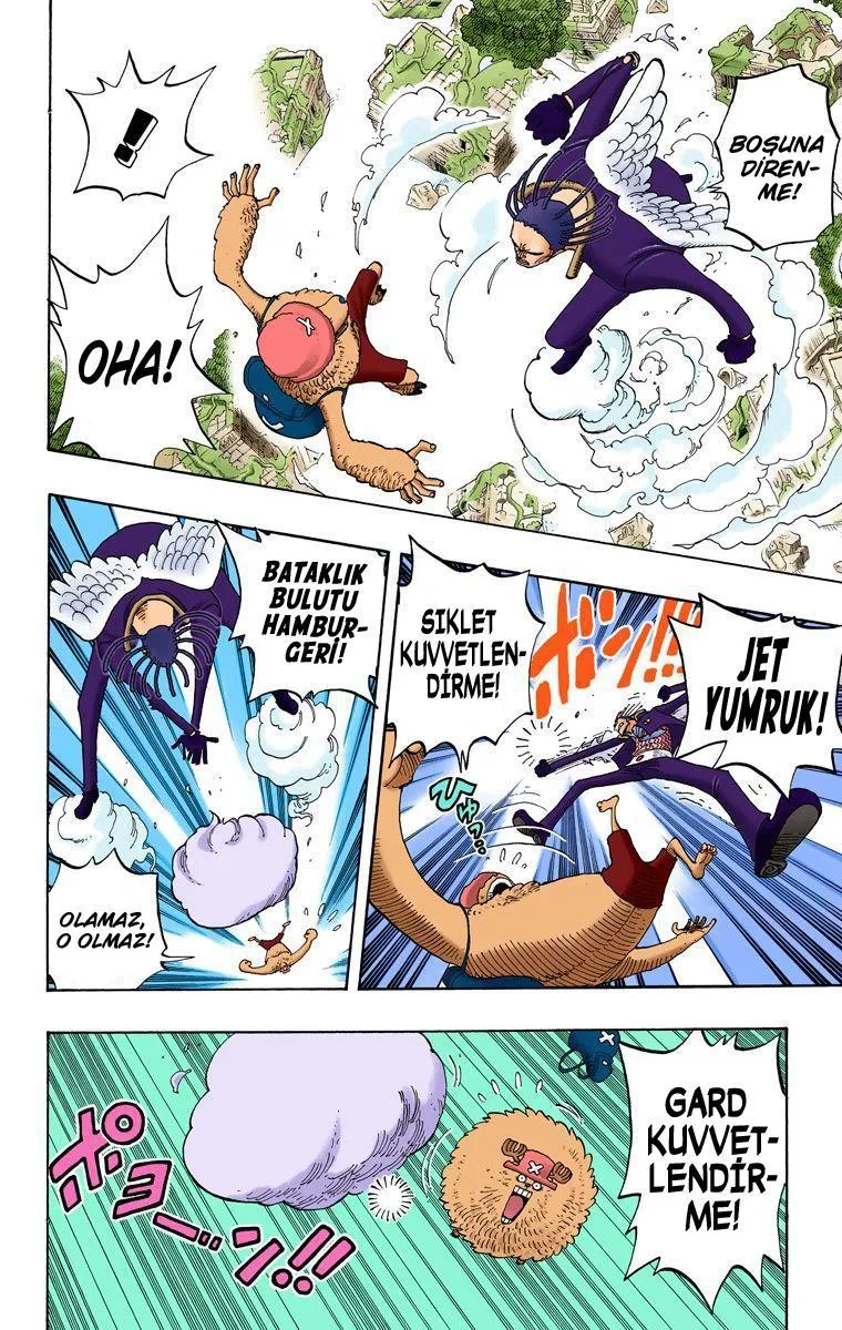 One Piece [Renkli] - Sayfa 13