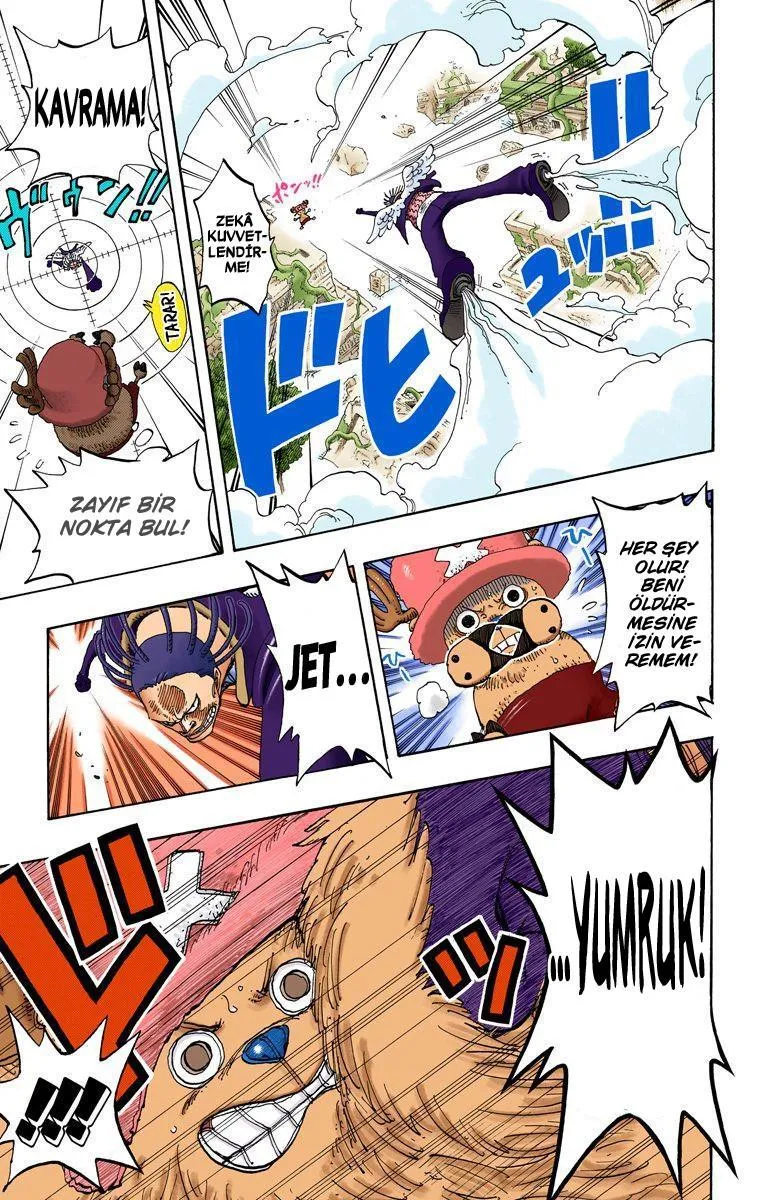 One Piece [Renkli] - Sayfa 14