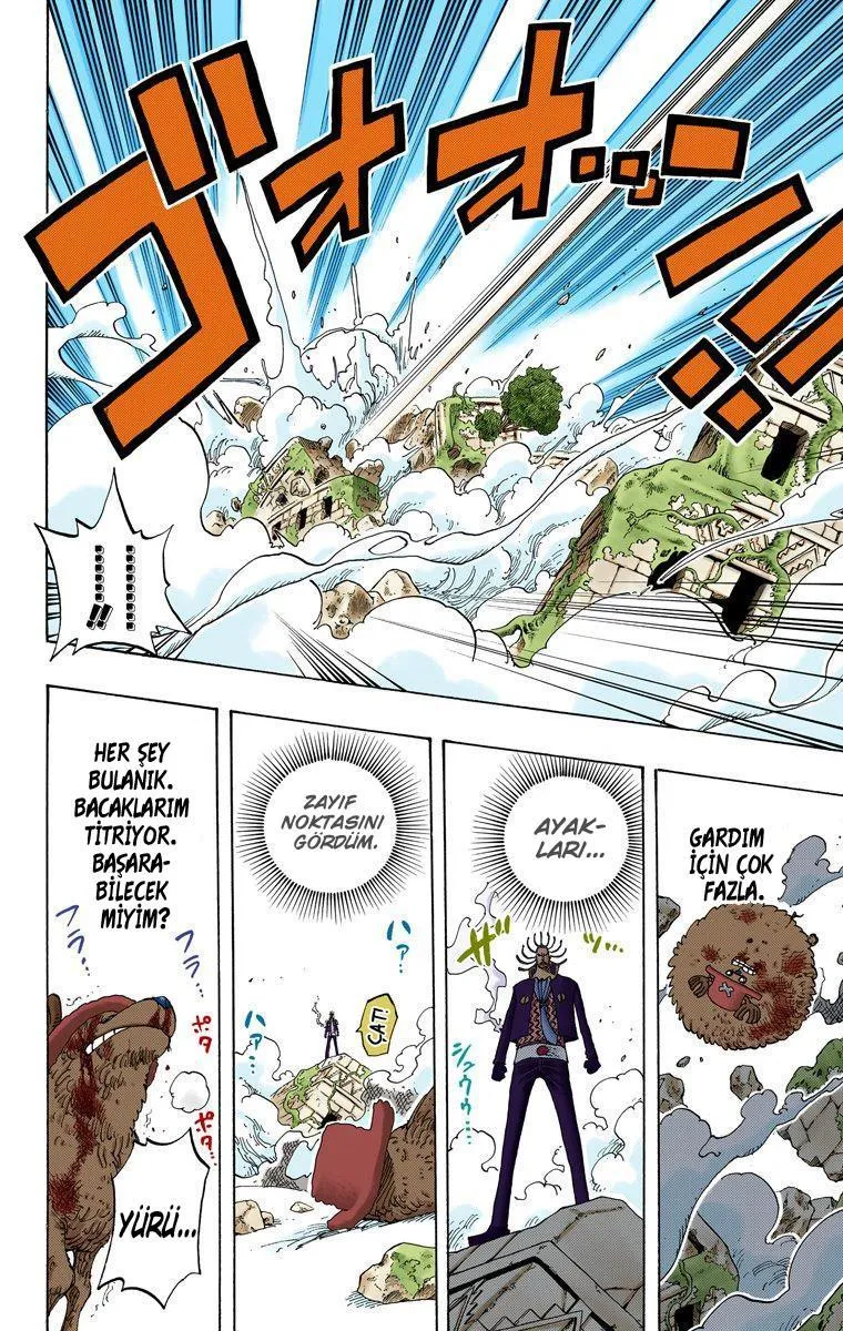 One Piece [Renkli] - Sayfa 15