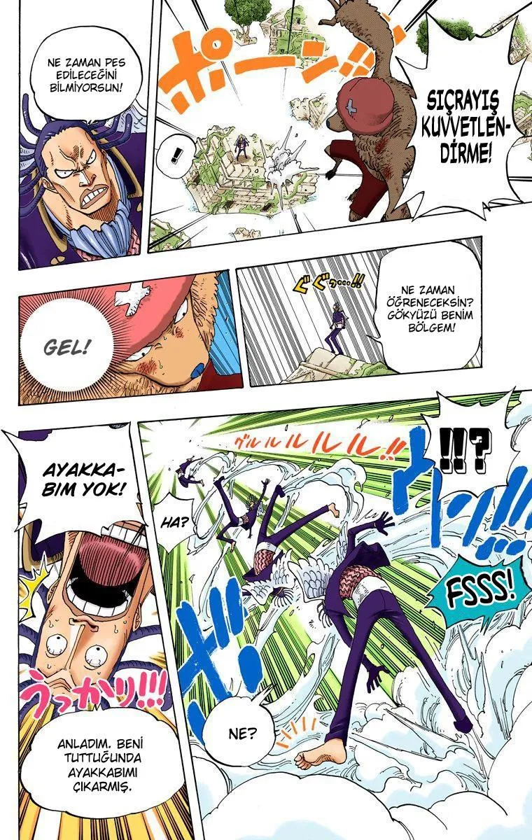 One Piece [Renkli] - Sayfa 17