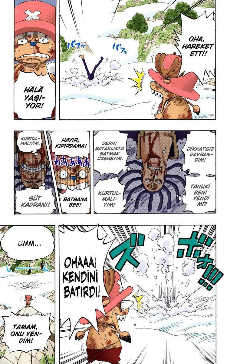 One Piece [Renkli] - Sayfa 4