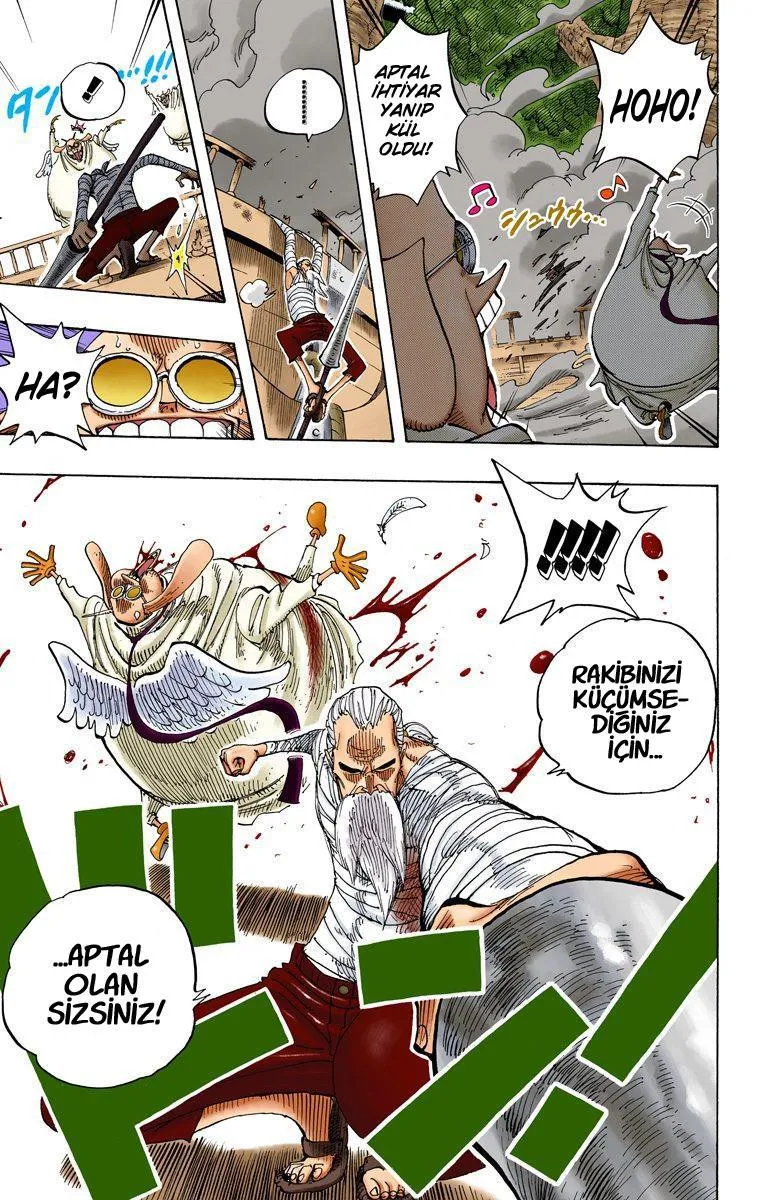 One Piece [Renkli] - Sayfa 14