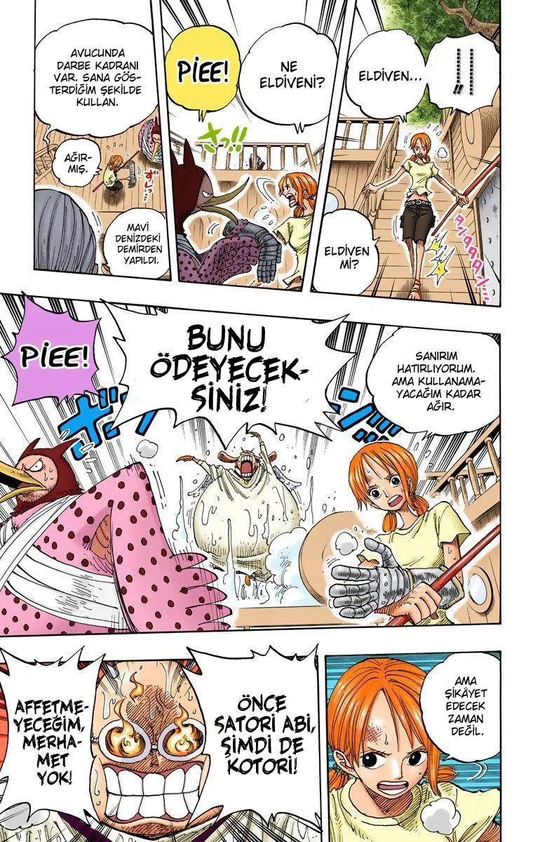 One Piece [Renkli] - Sayfa 16