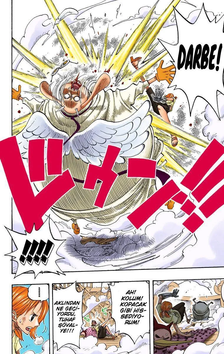 One Piece [Renkli] - Sayfa 19