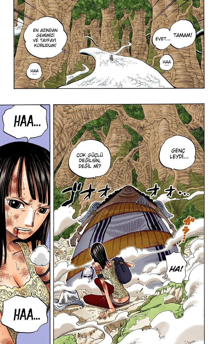 One Piece [Renkli] - Sayfa 20