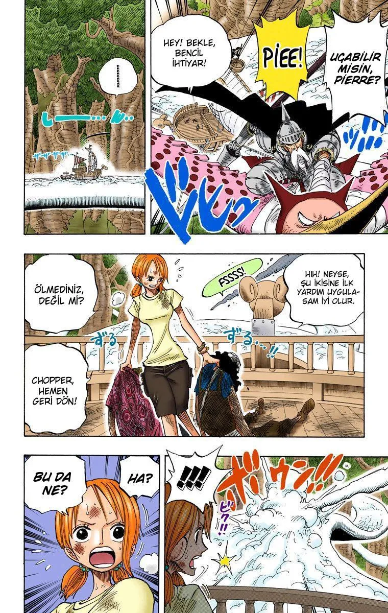 One Piece [Renkli] - Sayfa 5