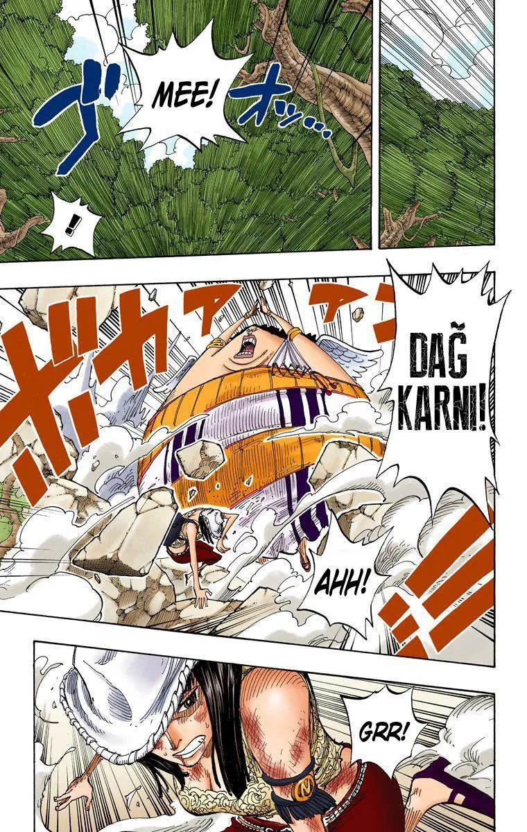 One Piece [Renkli] - Sayfa 8