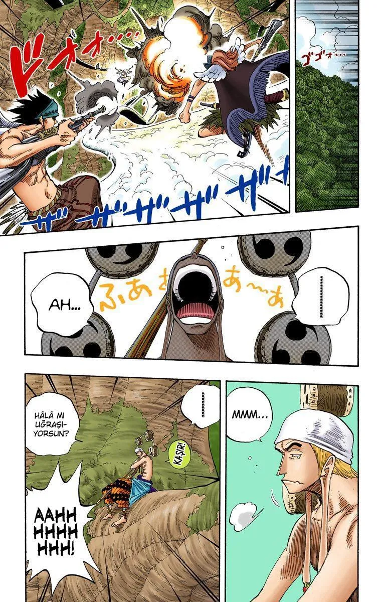 One Piece [Renkli] - Sayfa 12