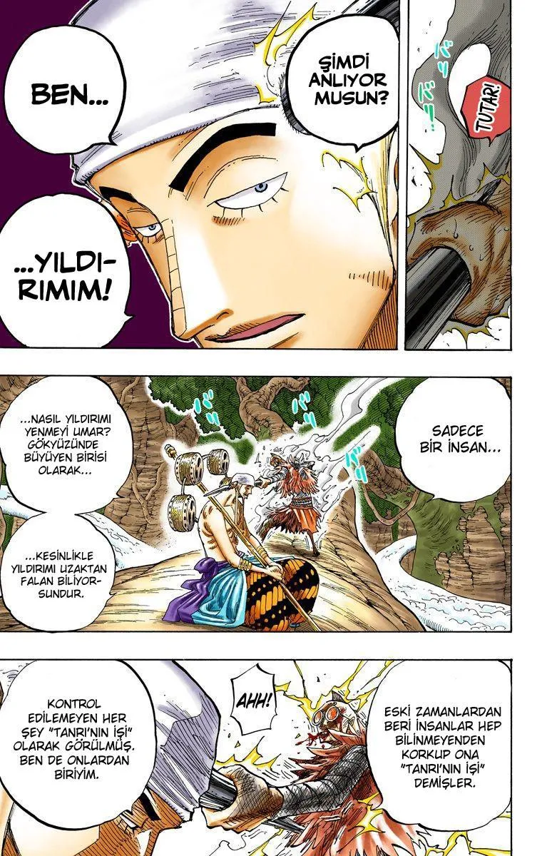 One Piece [Renkli] - Sayfa 14