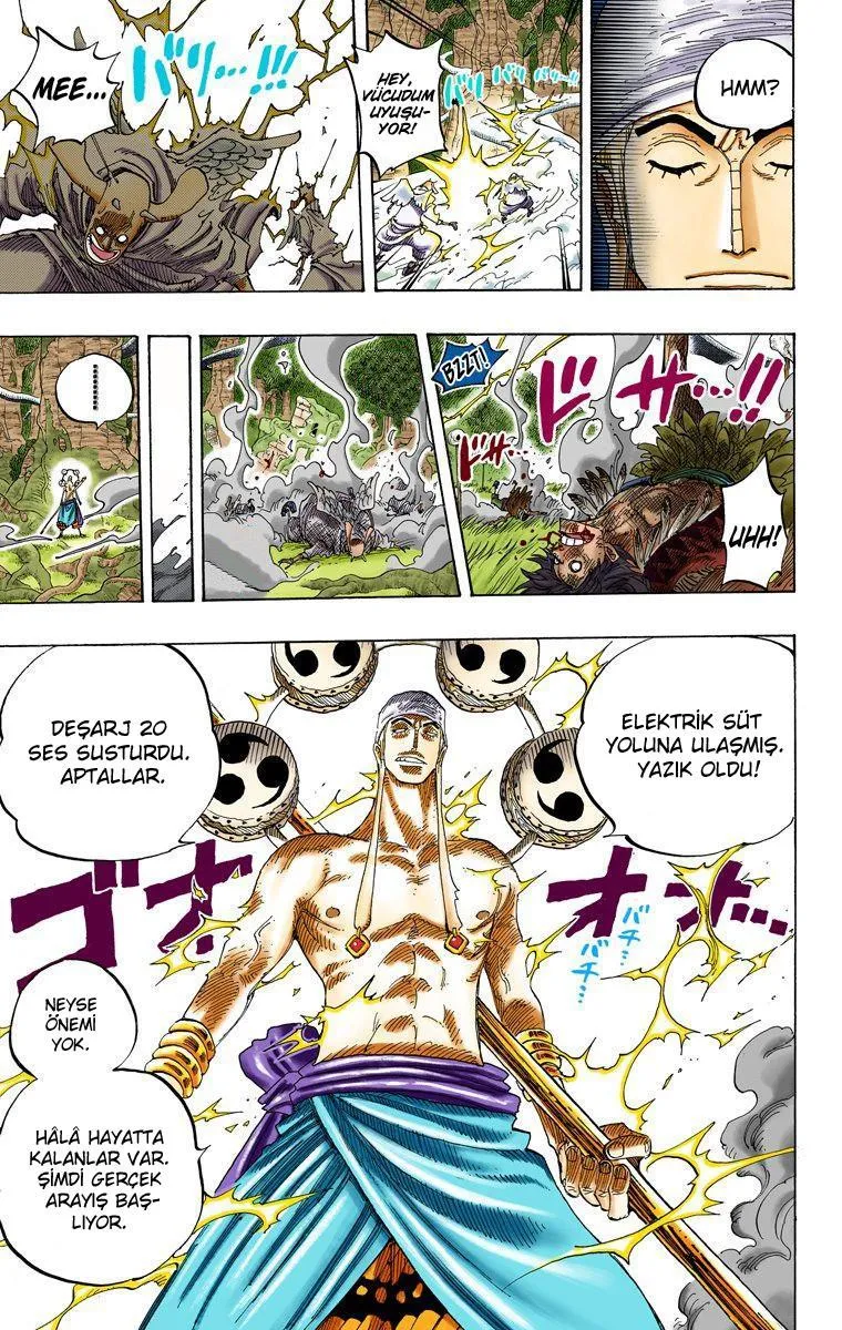 One Piece [Renkli] - Sayfa 18