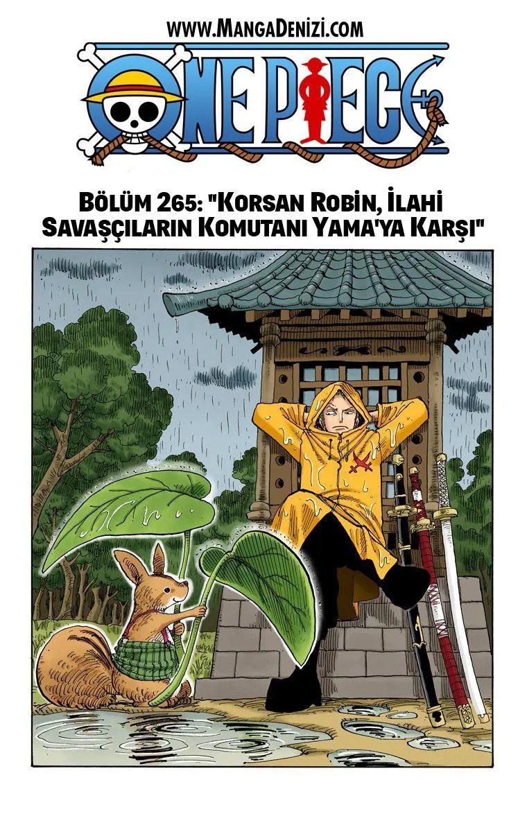 One Piece [Renkli] - Sayfa 2