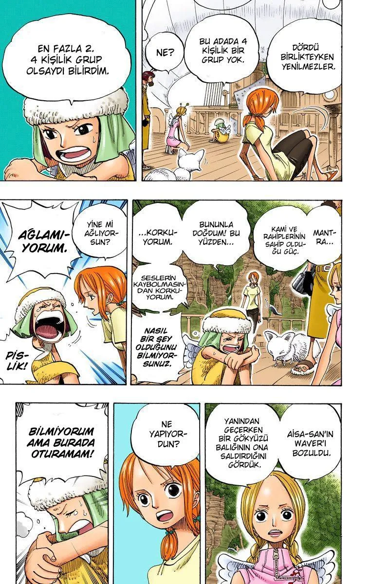 One Piece [Renkli] - Sayfa 4