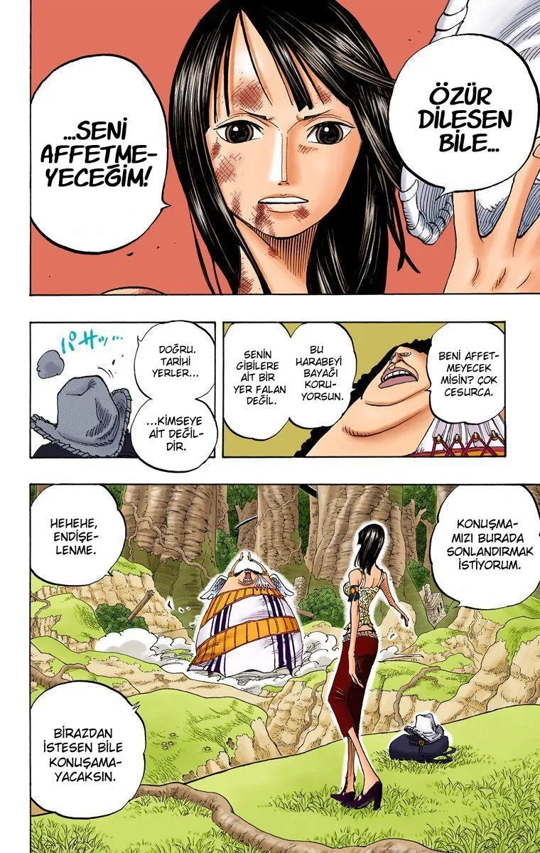 One Piece [Renkli] - Sayfa 11