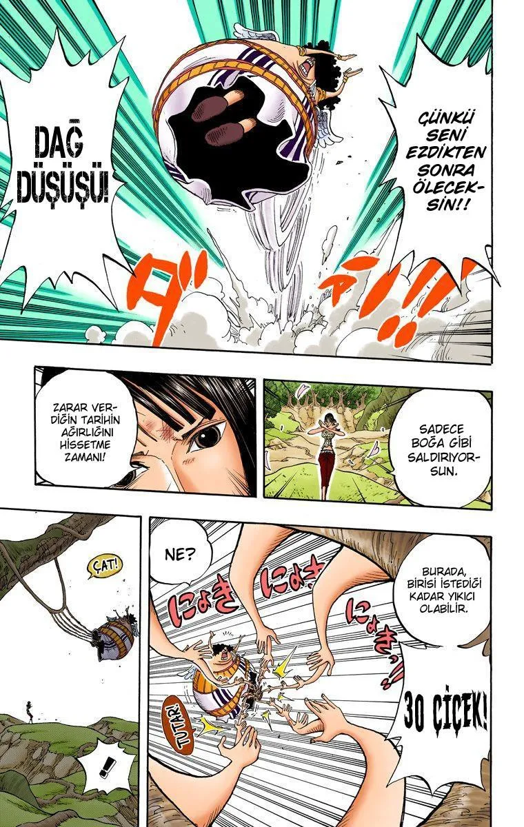 One Piece [Renkli] - Sayfa 12