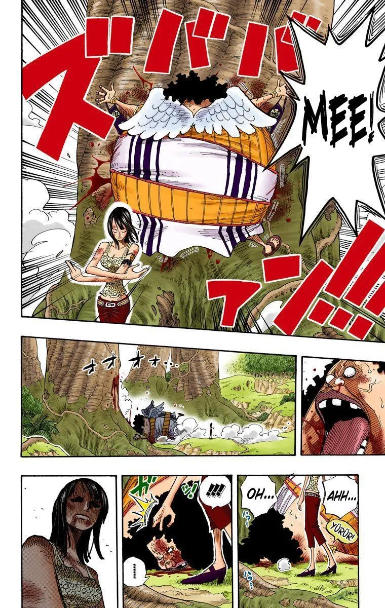 One Piece [Renkli] - Sayfa 15