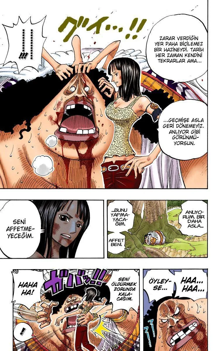 One Piece [Renkli] - Sayfa 16