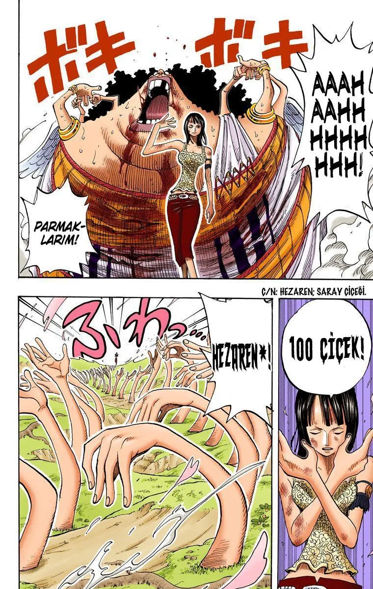 One Piece [Renkli] - Sayfa 17