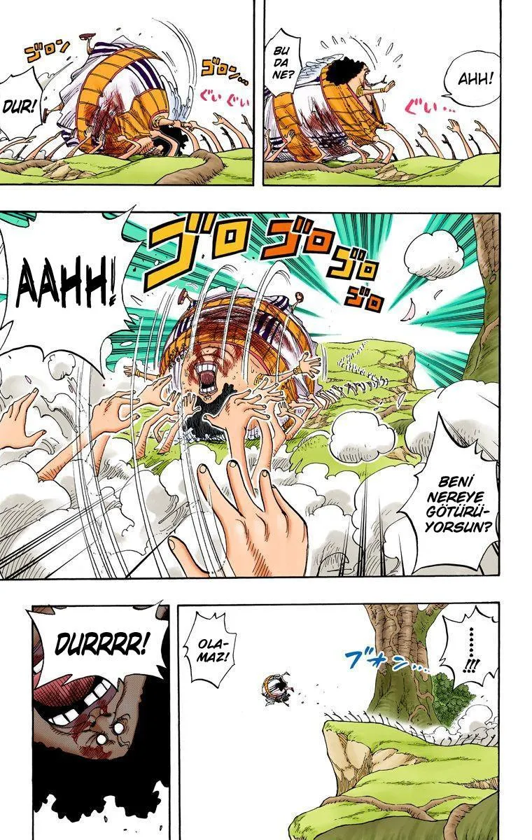 One Piece [Renkli] - Sayfa 18