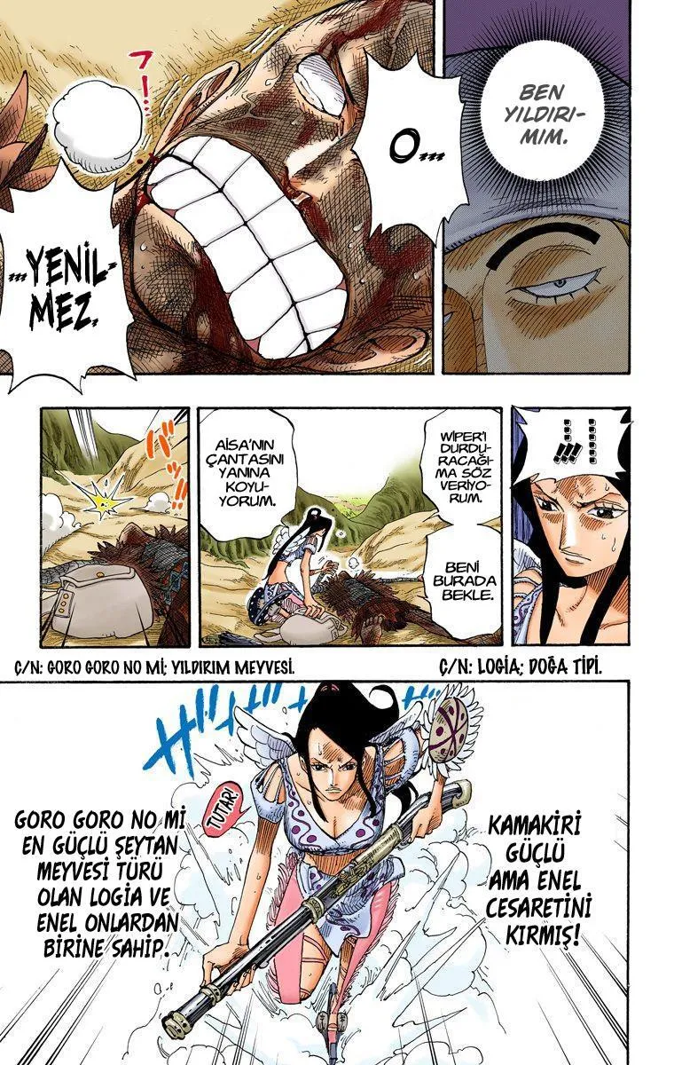 One Piece [Renkli] - Sayfa 14