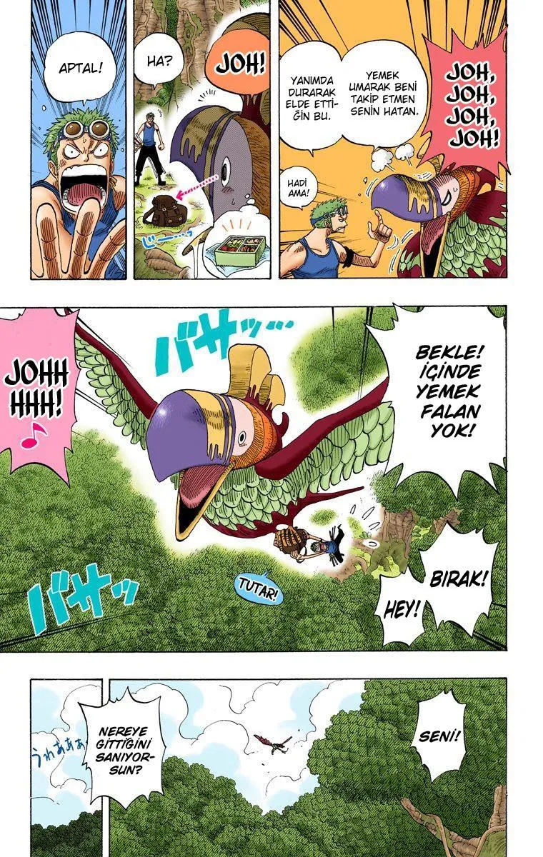 One Piece [Renkli] - Sayfa 16