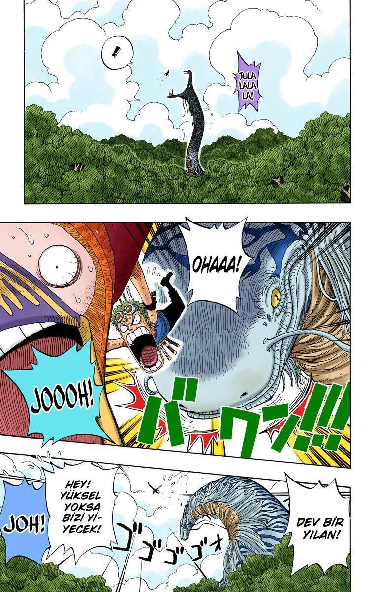 One Piece [Renkli] - Sayfa 10