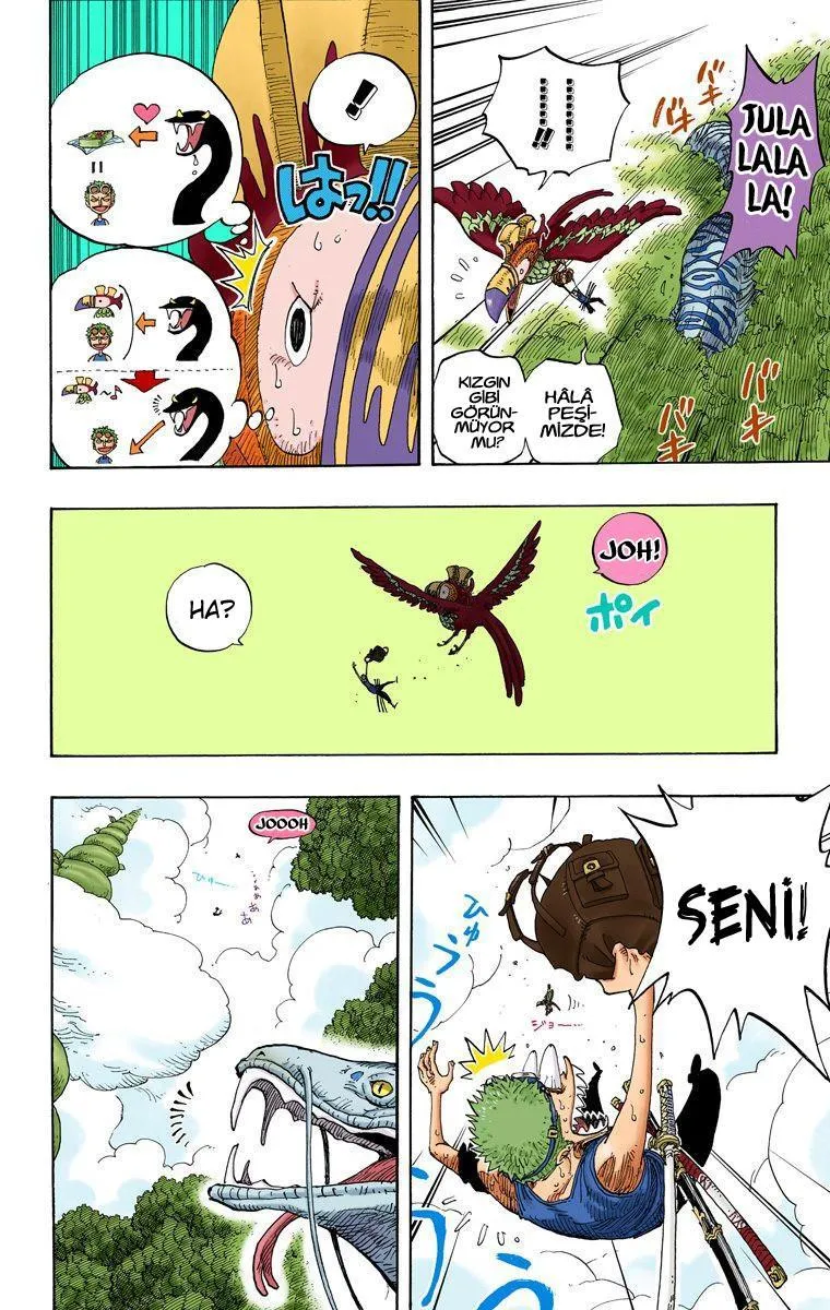 One Piece [Renkli] - Sayfa 11