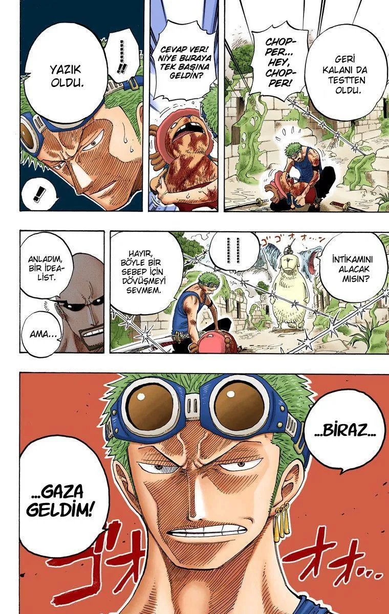 One Piece [Renkli] - Sayfa 15