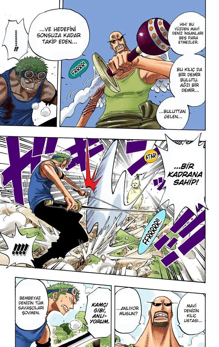 One Piece [Renkli] - Sayfa 11