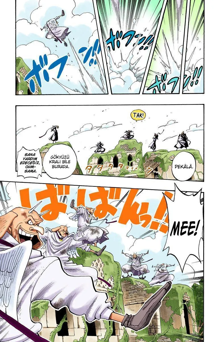 One Piece [Renkli] - Sayfa 13