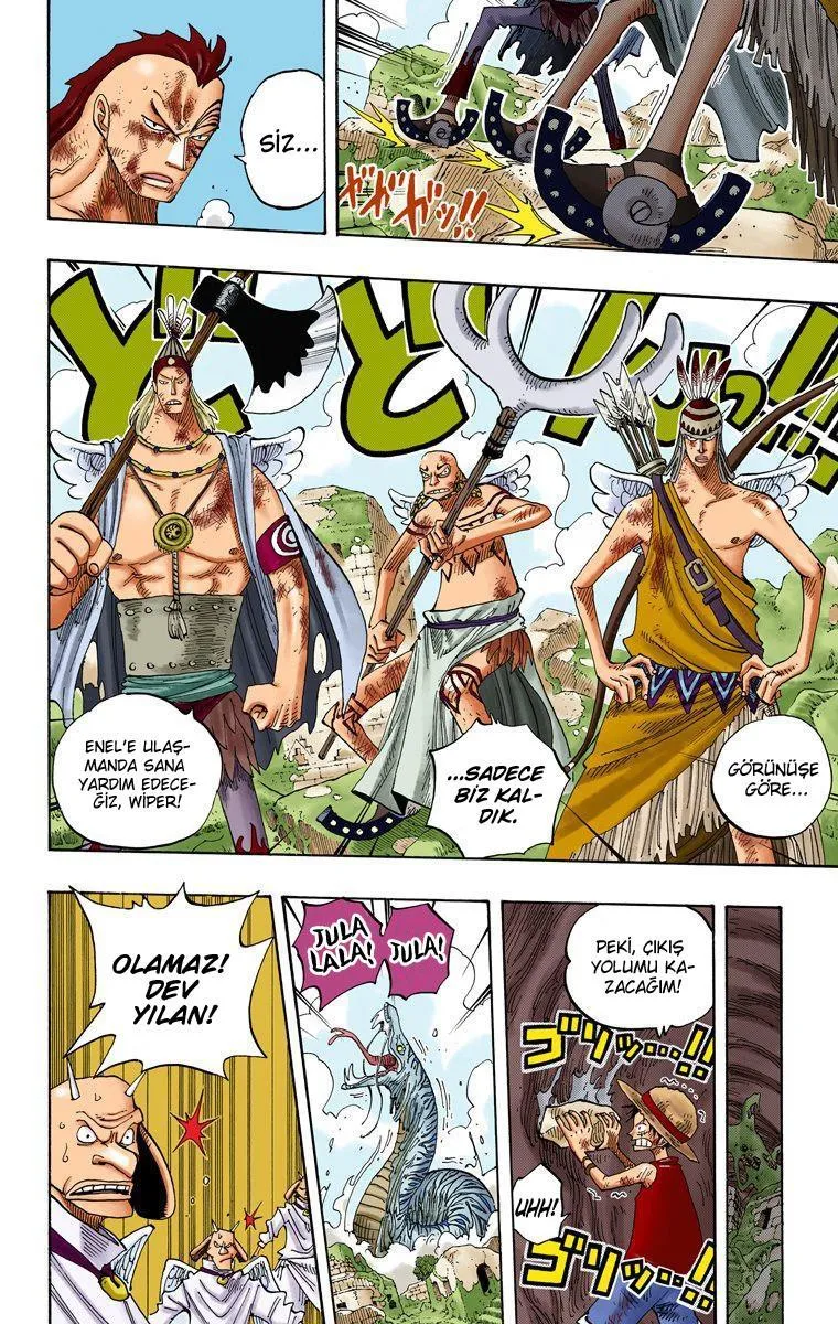 One Piece [Renkli] - Sayfa 14