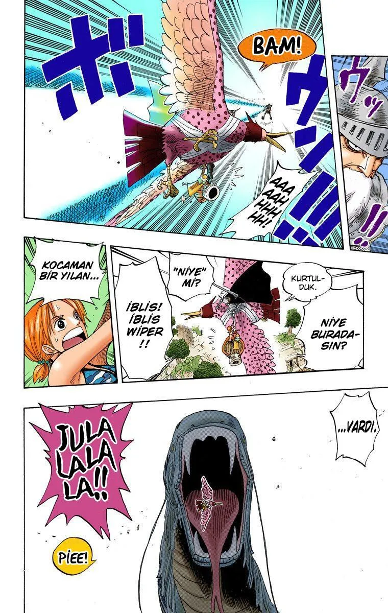 One Piece [Renkli] - Sayfa 17