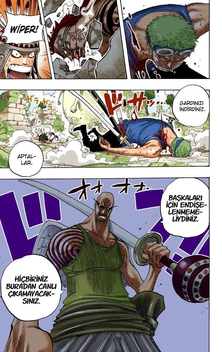 One Piece [Renkli] - Sayfa 20