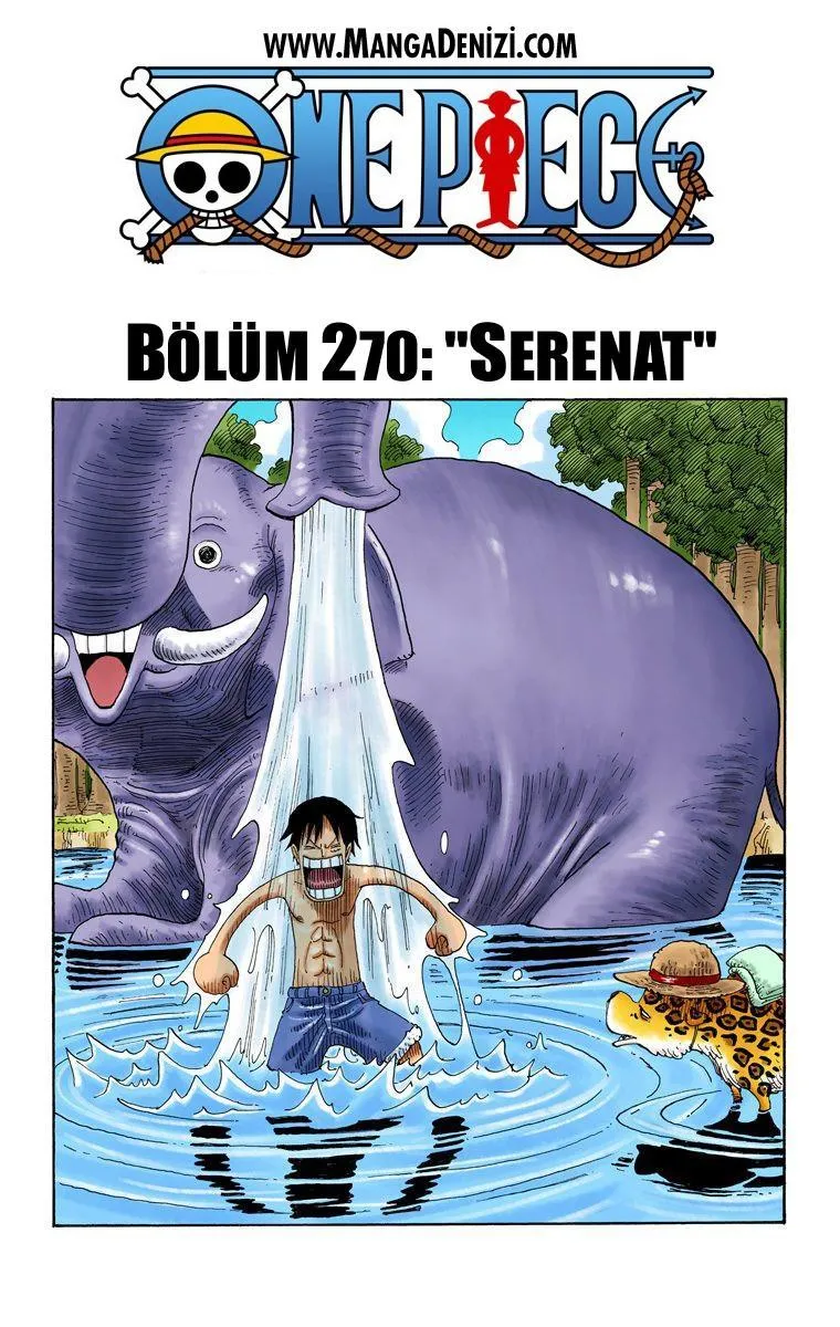 One Piece [Renkli] - Sayfa 2