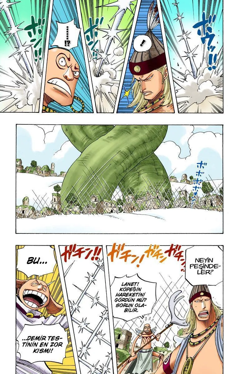 One Piece [Renkli] - Sayfa 6