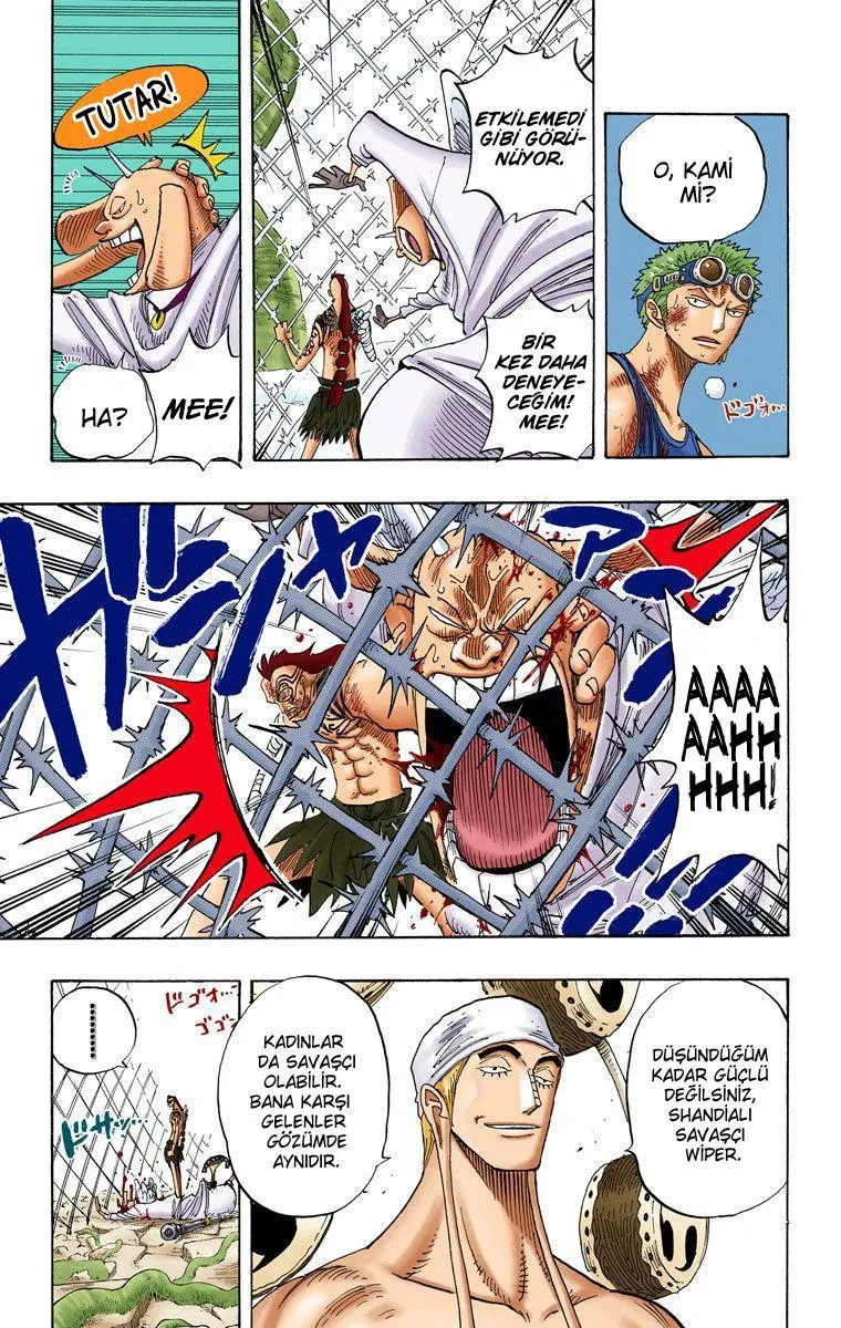 One Piece [Renkli] - Sayfa 14