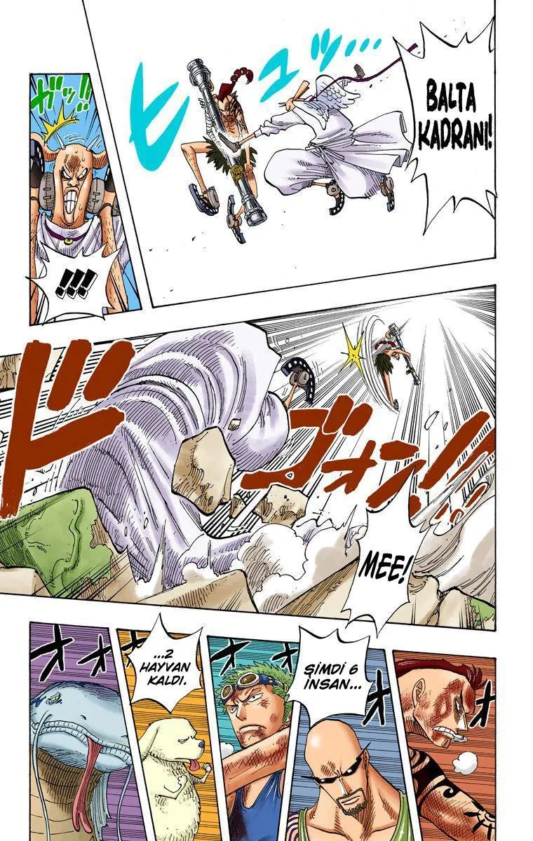 One Piece [Renkli] - Sayfa 18