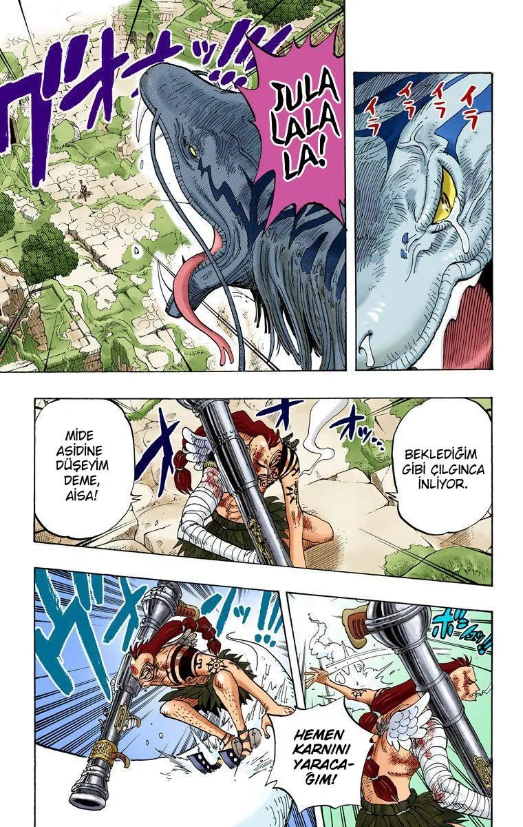 One Piece [Renkli] - Sayfa 6