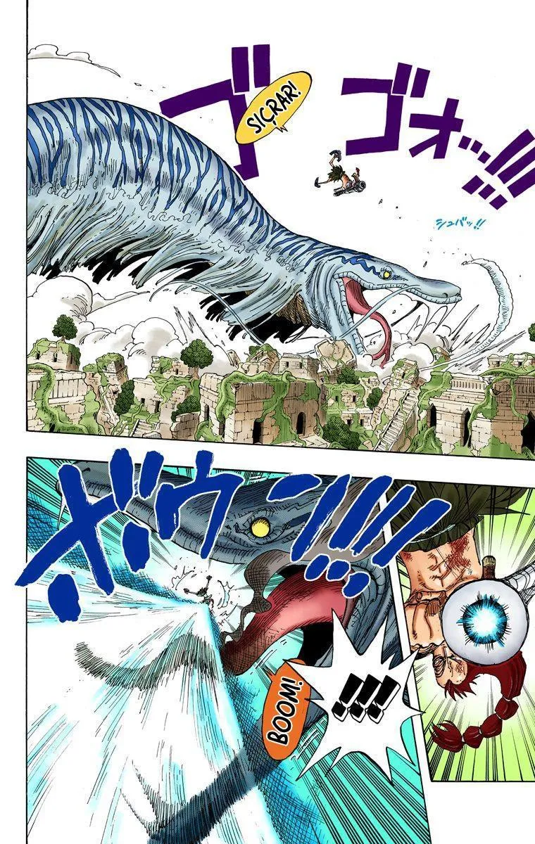 One Piece [Renkli] - Sayfa 7