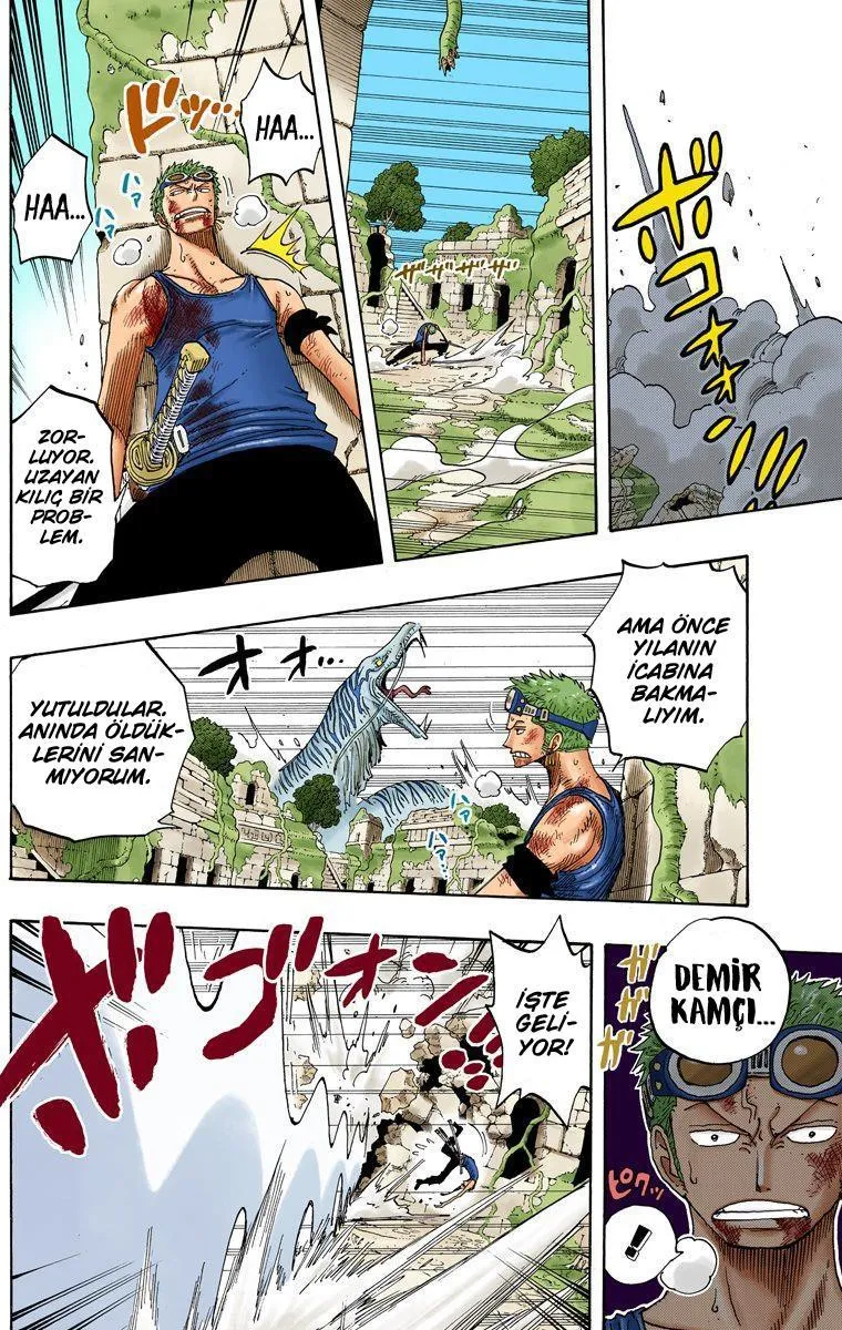 One Piece [Renkli] - Sayfa 9