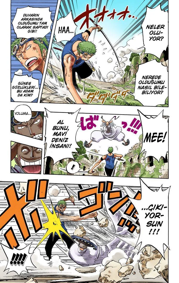 One Piece [Renkli] - Sayfa 10